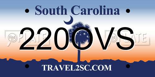 220OVS South Carolina License Plate