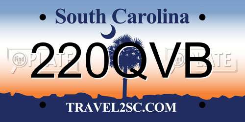 220QVB South Carolina License Plate