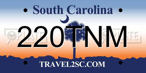 220TNM South Carolina License Plate