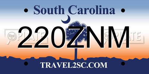220ZNM South Carolina License Plate
