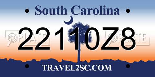 22110Z8 South Carolina License Plate