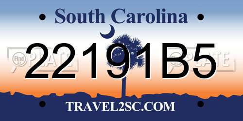 22191B5 South Carolina License Plate