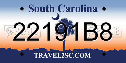 22191B8 South Carolina License Plate