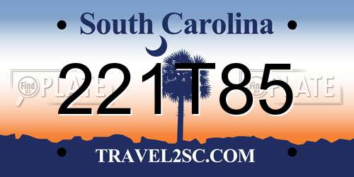 221T85 South Carolina License Plate