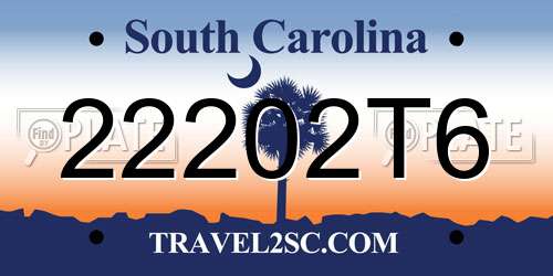 22202T6 South Carolina License Plate