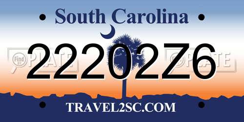 22202Z6 South Carolina License Plate