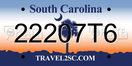 22207T6 South Carolina License Plate