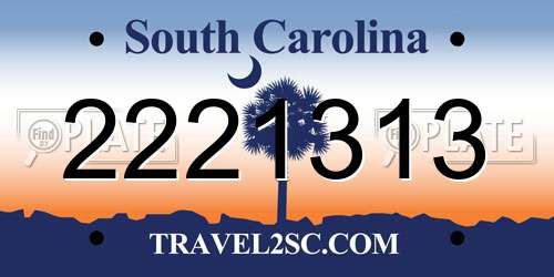 2221313 South Carolina License Plate