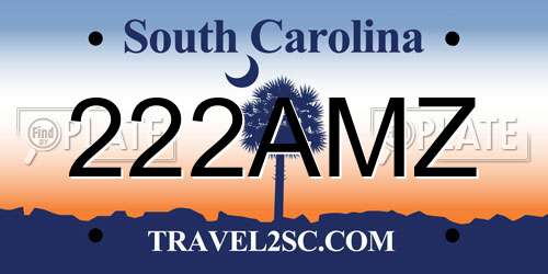 222AMZ South Carolina License Plate