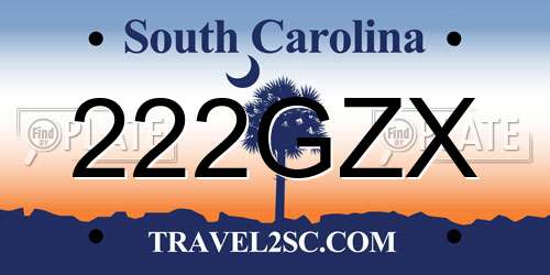 222GZX South Carolina License Plate