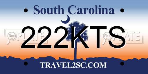 222KTS South Carolina License Plate