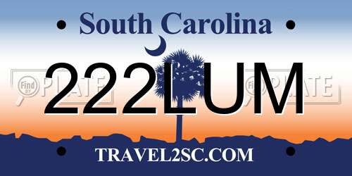 222LUM South Carolina License Plate