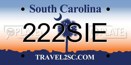 222SIE South Carolina License Plate