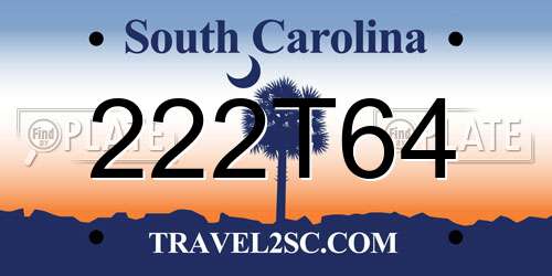 222T64 South Carolina License Plate