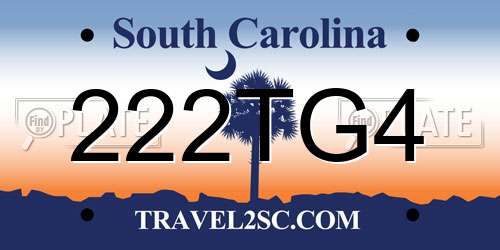 222TG4 South Carolina License Plate