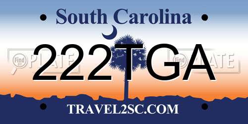 222TGA South Carolina License Plate
