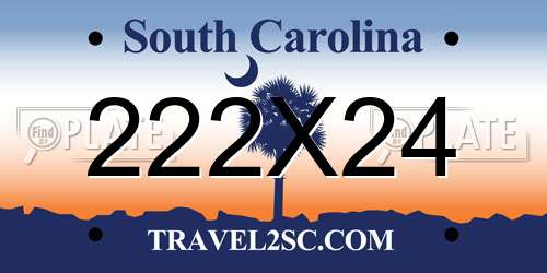 222X24 South Carolina License Plate