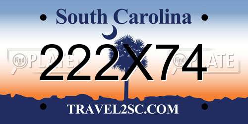 222X74 South Carolina License Plate