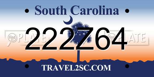 222Z64 South Carolina License Plate