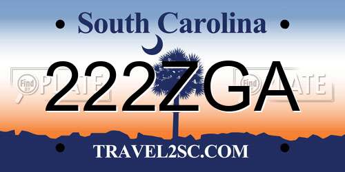 222ZGA South Carolina License Plate
