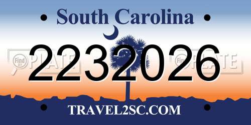 2232026 South Carolina License Plate