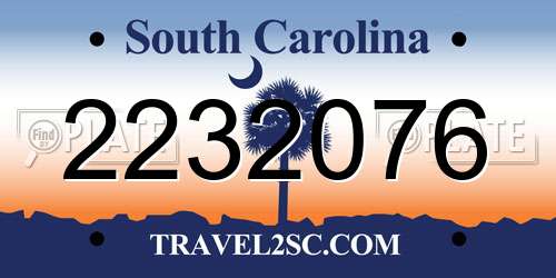 2232076 South Carolina License Plate