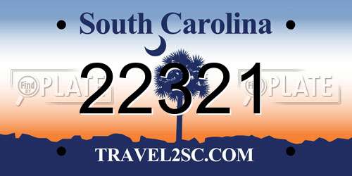 22321 South Carolina License Plate