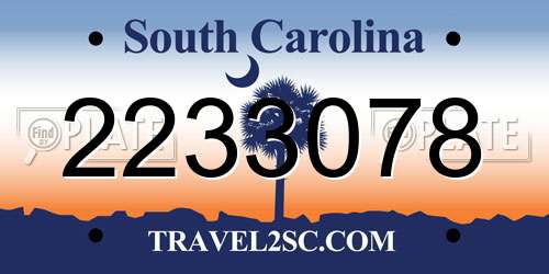 2233078 South Carolina License Plate