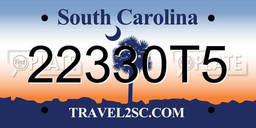 22330T5 South Carolina License Plate