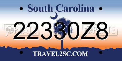 22330Z8 South Carolina License Plate