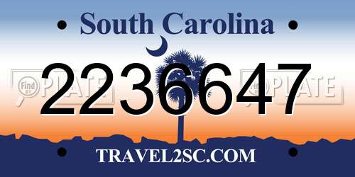 2236647 South Carolina License Plate