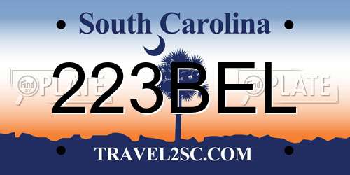 223BEL South Carolina License Plate