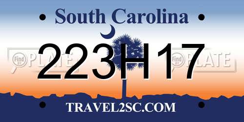 223H17 South Carolina License Plate