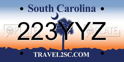 223YYZ South Carolina License Plate