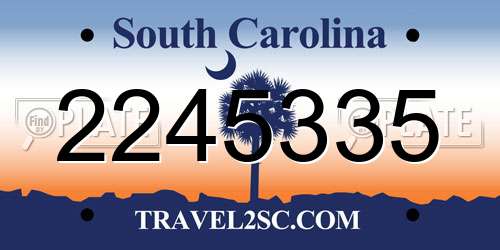 2245335 South Carolina License Plate