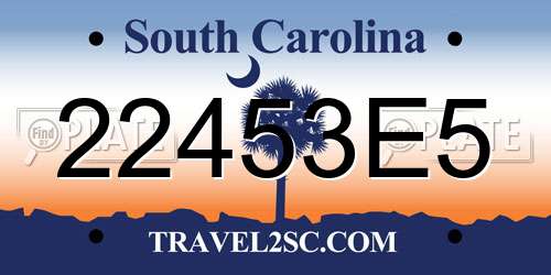 22453E5 South Carolina License Plate