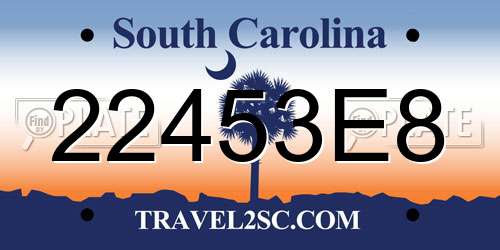22453E8 South Carolina License Plate