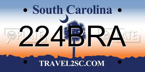 224BRA South Carolina License Plate