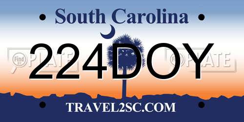 224DOY South Carolina License Plate
