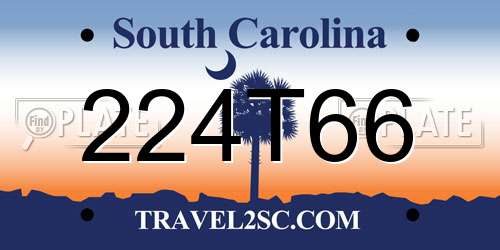 224T66 South Carolina License Plate