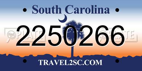 2250266 South Carolina License Plate