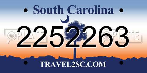 2252263 South Carolina License Plate