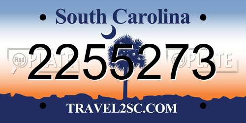 2255273 South Carolina License Plate