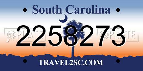 2258273 South Carolina License Plate
