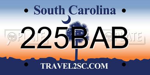 225BAB South Carolina License Plate