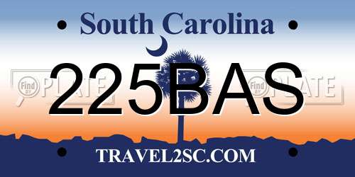 225BAS South Carolina License Plate