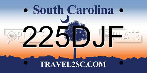 225DJF South Carolina License Plate