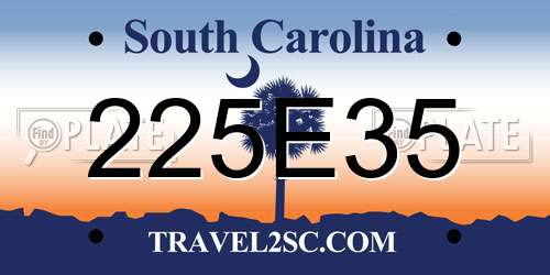 225E35 South Carolina License Plate