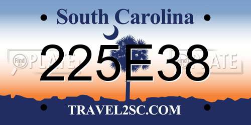 225E38 South Carolina License Plate