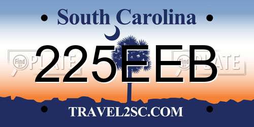 225EEB South Carolina License Plate